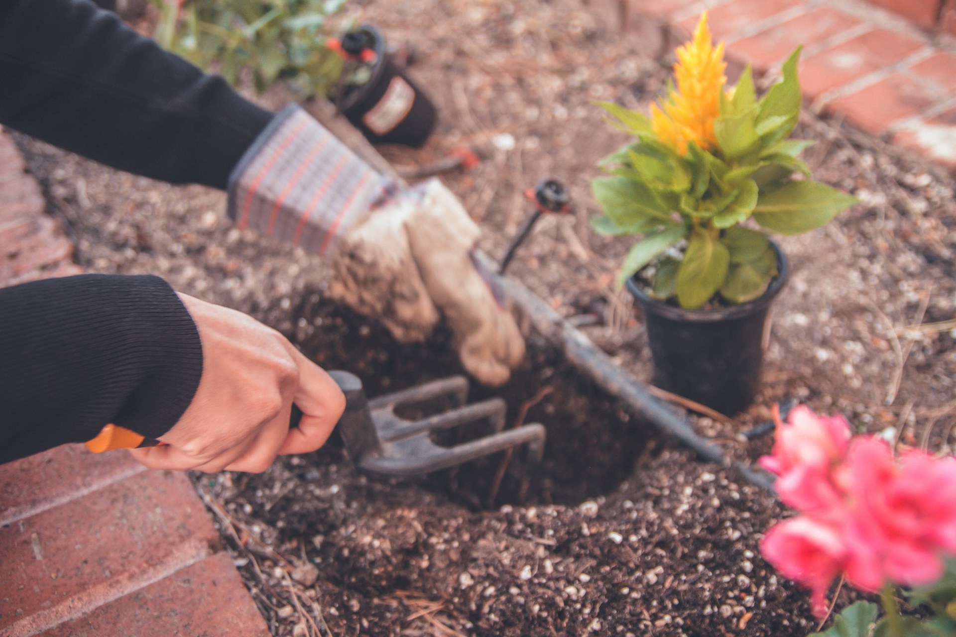 Specialty Mulches